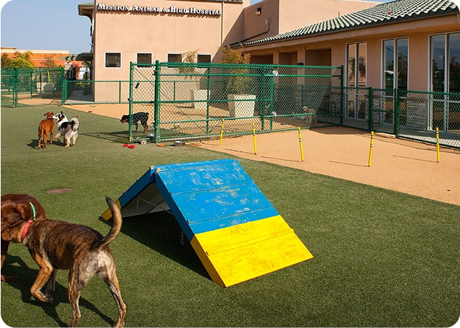 Veterinary Facilities