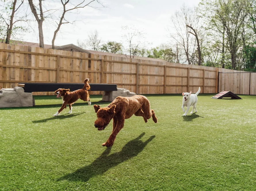 K9Grass®